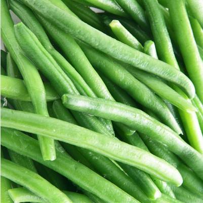 New Crop Frozen green Beans