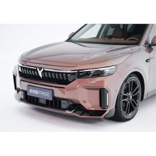VOYAH FREE Medium to Large SUV