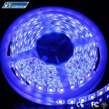 220v led stripe factory price ROHS IEC SAA  Australia