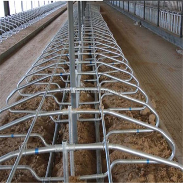 Customized Hot-Dip Galvanized Cattle Bed Dairy Farm Stalls