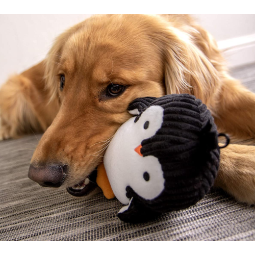 Jouet de chien en peluche avec brigeur silencieux