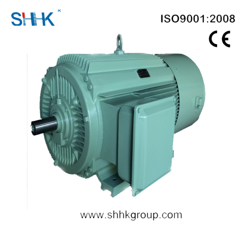 Yvp Series Three-Phase Asynchronous Motor with Inverter