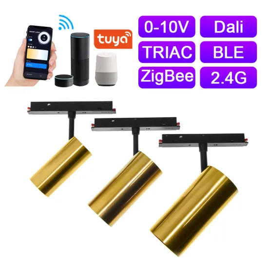 Tuya Zigbee 0-10V DALI 2.4G Dimmable CW Adjustable LED Track Light - LEDEAST GDD-20 Electroplated Gold Magnetic Indoor Lighting