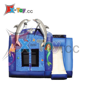 Dolphin Inflatable Combo (CH-IC6041)
