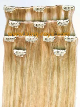 Luxury Blonded Silky Straight Remy Clip in Hair