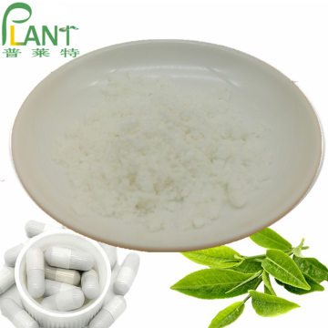 Extracto natural de té verde L-teanina l polvo de teanina