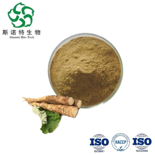 Arctium Lappa Root Extract - Natural Antioxidant for Skin Health