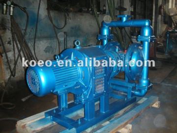 DBY-100 Cycloid Type Electric Diaphragm Pump
