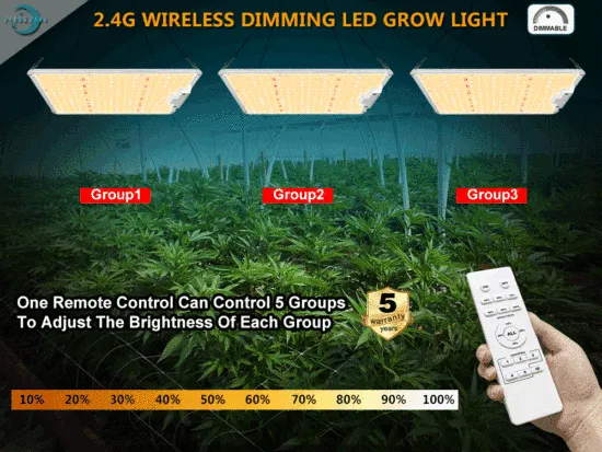 China Wireless Remote Control Grow Light 100W