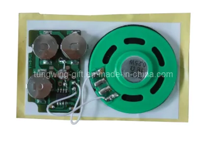 Light Sencor Sound Module