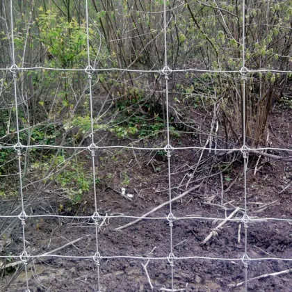 Hot sale galvanized grassland cattle fence