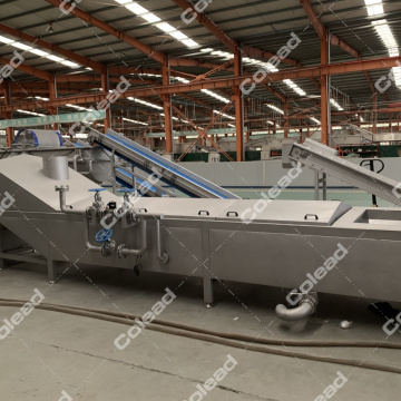 Steam Blanching Machine for vegetable processing line