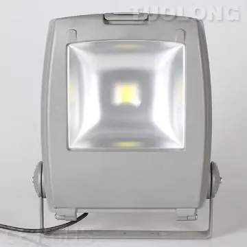 10-200W IP66 CE & RoHS high lumen colored flood light covers