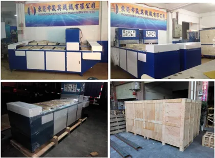 Automatic Blister Pack Sealing Machine