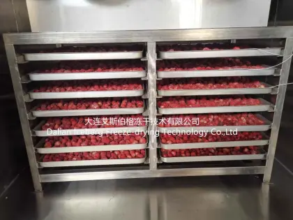 Strawberry Fruit Freeze-drying Machine