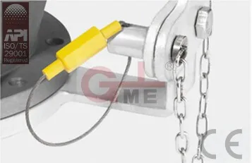 Anti-theft Device for API Adaptor Valve