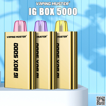 IG Box vape 5000 전자 담배