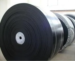 Chemical Resistant Nylon/Polyester Conveying Belt