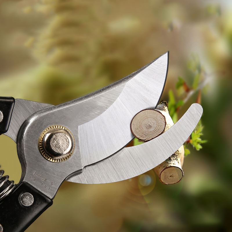 Professional trimming scissors garden bonsai grafting pruning tools garden scissors