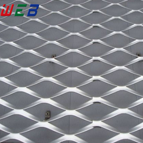 Raised expanded metal mesh