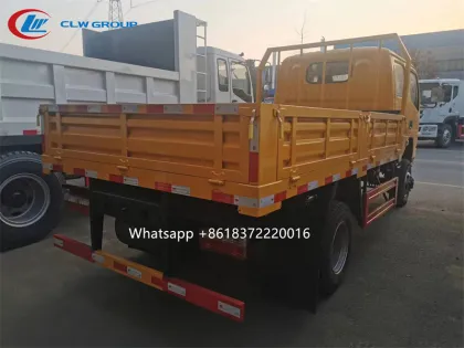 Chengli CLW 4x4 Double Cabin Light Cargo Truck
