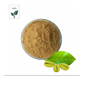 Ácido clorogênico de extrato de feijão de café verde 50%