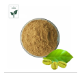 Green Coffee Bean Extract Chlorogenic Acid 50%