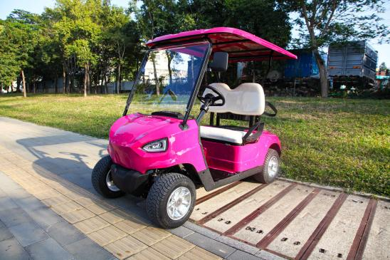 Nuevo carrito de golf eléctrico de dos plazas