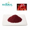 Tomato Extract Lycopene Powder For Skin Cosmetic raw material lycopene powder Tomato Extract Supplier
