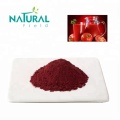 Cosmetic raw material lycopene powder Tomato Extract