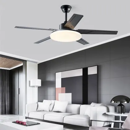 Home Appliances DecorativeCeiling Fan With Light
