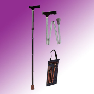Walking Stick (ME385)