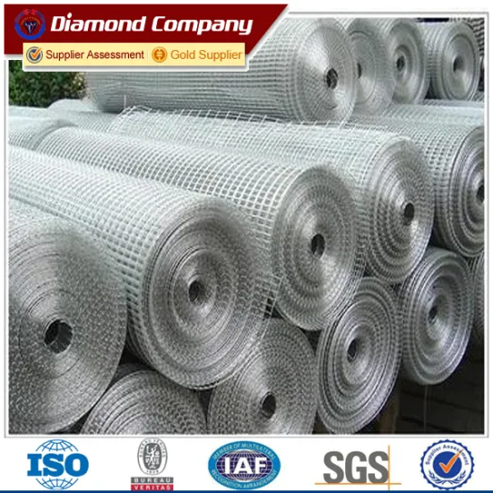 galvanized & iron & 304SS welded wire mesh panel