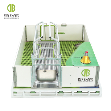 2022 Galvanized Farrowing Crate Design for Pig Farming Equipment