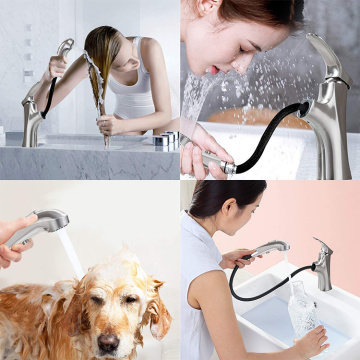 Dapur Basin Tap Stainless Steel Faucet Sprayer