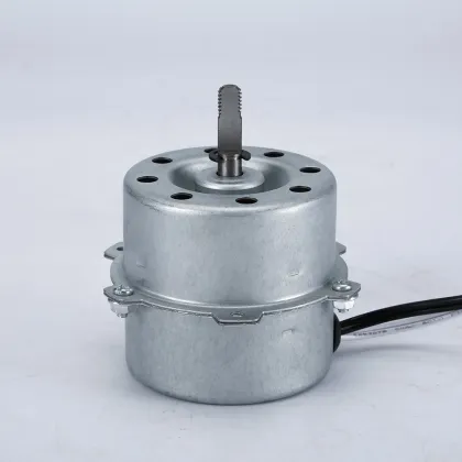 High Quality Customized Professional Motors for Household Appliances and Air Blowers