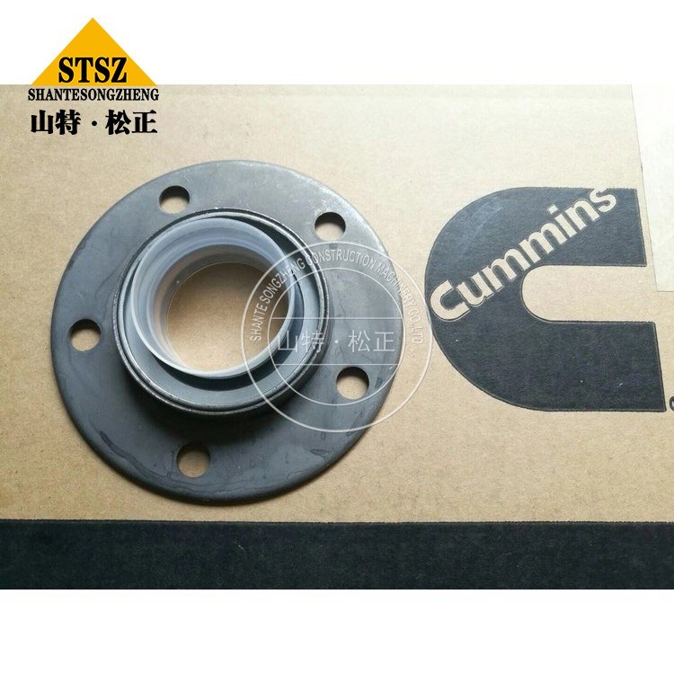 Cummins Spare Parts Oil Seal 3892020