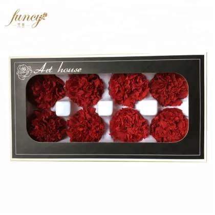 FuncyFlora Wholesale: Natural Preserved Carnation Flowers