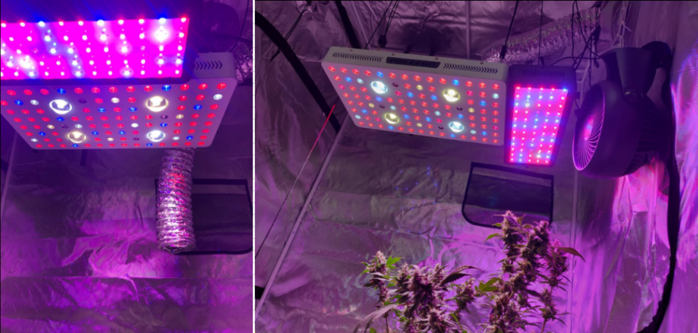 3000w LED Grow Light for Indoor Garden