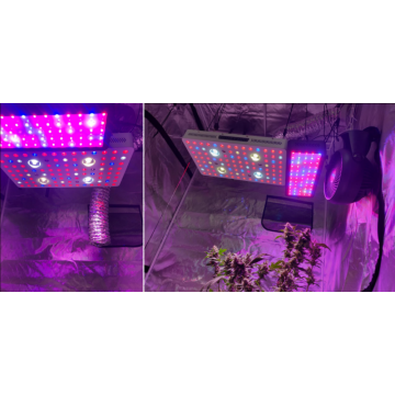 Phlizon 2000watt LED Grow Light Work para plantas