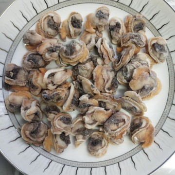 Frozen Seafood Clam Meat and Blood Clams