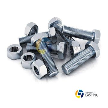 Grade 5 Fine Thread Titanium Hex Bolt