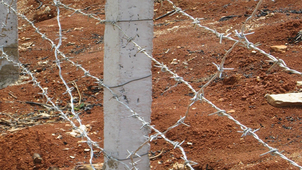 barbed wire