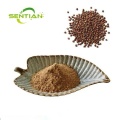 Evodia Rutaecarpa Extract Evodiamine / Rutaecarpine 10%-98%