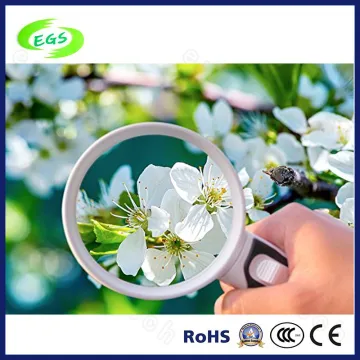 Transparent Mini Magnifier LED Light Magnifier Handheld Magnifier in High Quality