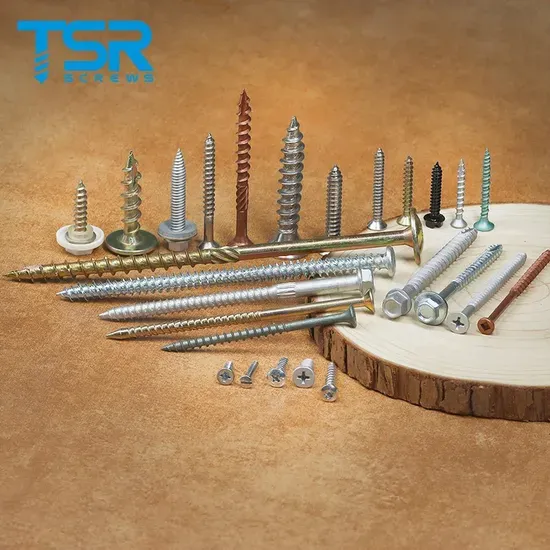 Stainless Steel Self Tapping Screw for Wood and Gypsum Board