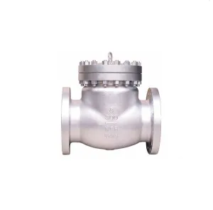 Stainless Steel ANSI B16.34 Check Valve