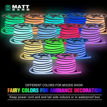 Flexibler LED -Neonstreifen hellblau RGB 12V/24V Benutzerdefinierte PVC IP67 Gua Matt für Outdoor -Logo
