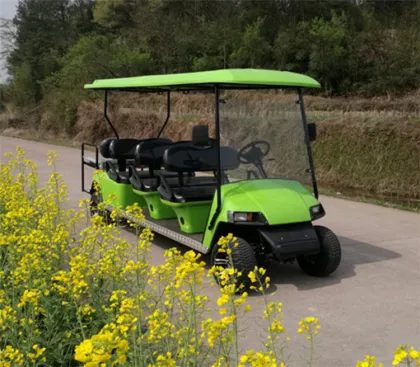 Gasoline Golf cart sightseeing cars/bus
