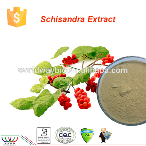 Free sample HACCP cGMP Kosher FDA certified anti-virus product1%~ 9% schisandrin schisandra chinensis extract